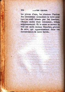 les sauterelles10